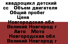 квадроцикл детский 50сс › Объем двигателя ­ 50 › Общий пробег ­ 1 000 › Цена ­ 30 000 - Новгородская обл., Великий Новгород г. Авто » Мото   . Новгородская обл.,Великий Новгород г.